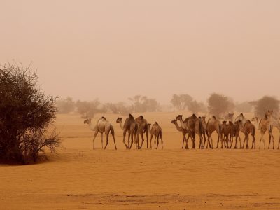 Wyprawa SUDAN – PĘTLA WSCHODNIA – WYPRAWA