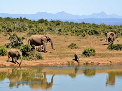 Wyprawa RPA, ESWATINI, MOZAMBIK